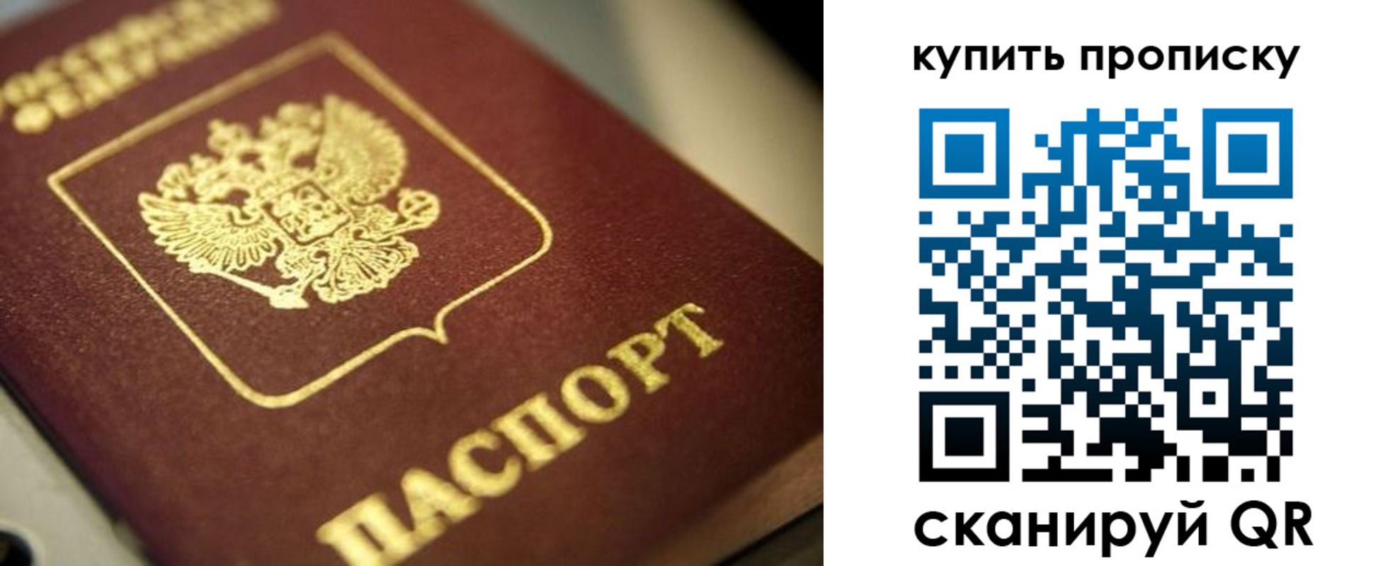 прописка поиск в Калачинске